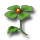Flower int.png