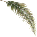 FY palm leaf01 SU.png