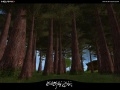 Screenshot Forest Flora 02.jpg