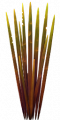 Fo S2 spiketree leaves Au.png