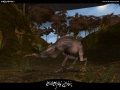 Screenshot Jungle Fauna 02.jpg