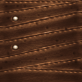 TR leather c3.png