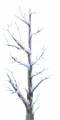Fo giant tree branche Wi.png