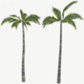 FY palmtree A WI X.png