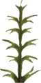 FO MO spittingweeds feuille01.png