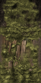 FY burnedtree trunk WI.png