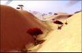 FR DESERT dunes imperiales vallee des empereurs.JPG