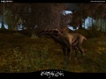 Screenshot Jungle Fauna 05.jpg