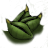 V2 HA MP sol seed alive small.png