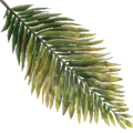 FY palm leaf02 WI.png