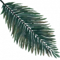 TR palmtree leaf02 Wi.png