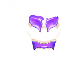 ZO HOM visage makeup54.png