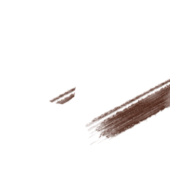 FY HOM visage makeup55.png