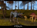 Screenshot Forest Fauna 02.jpg