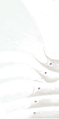 MA HOM civil01 epaule C3.png
